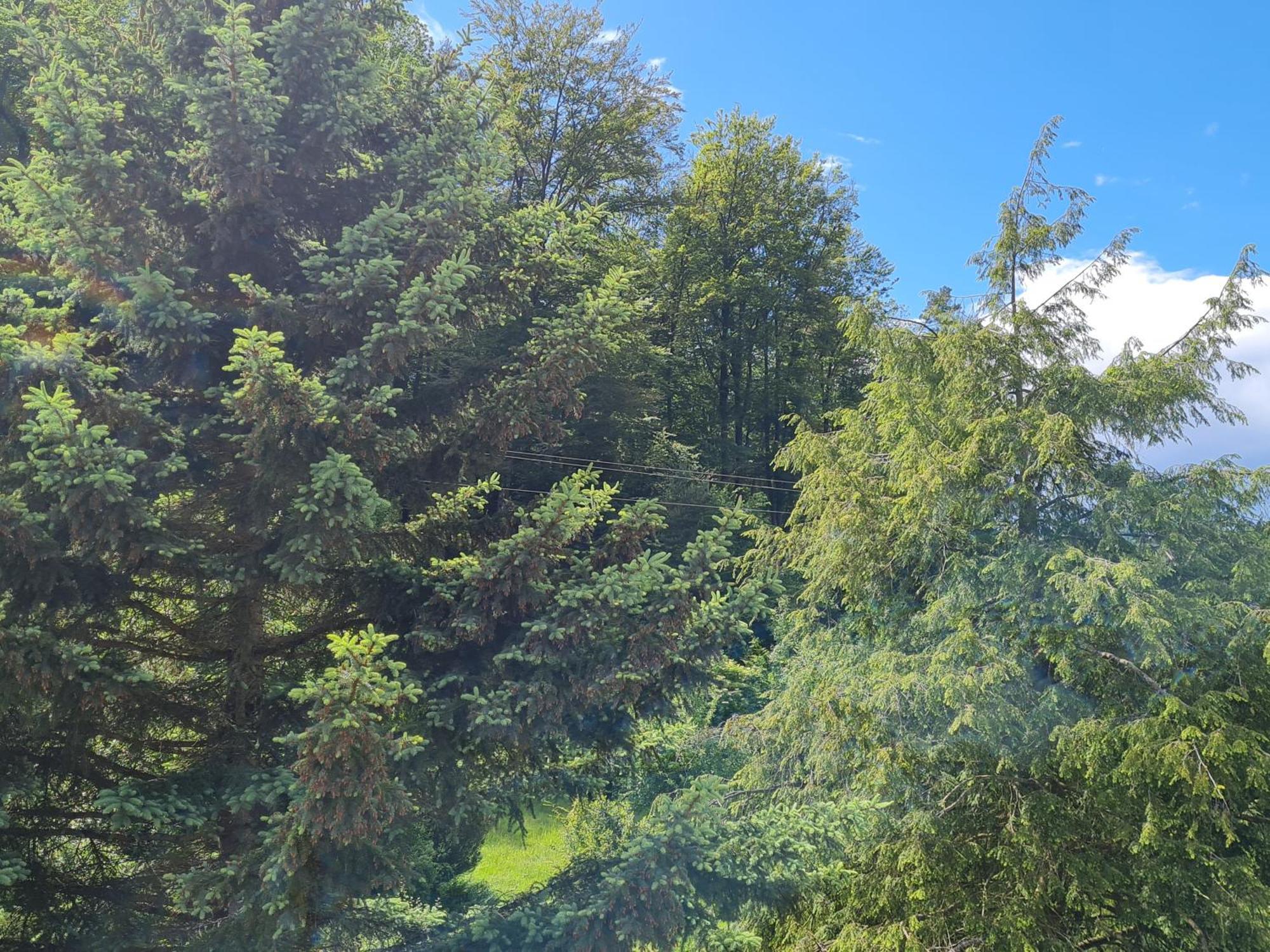 Birds-Nest Ferienwohnung Balkon Kaminofen Darstein Zewnętrze zdjęcie