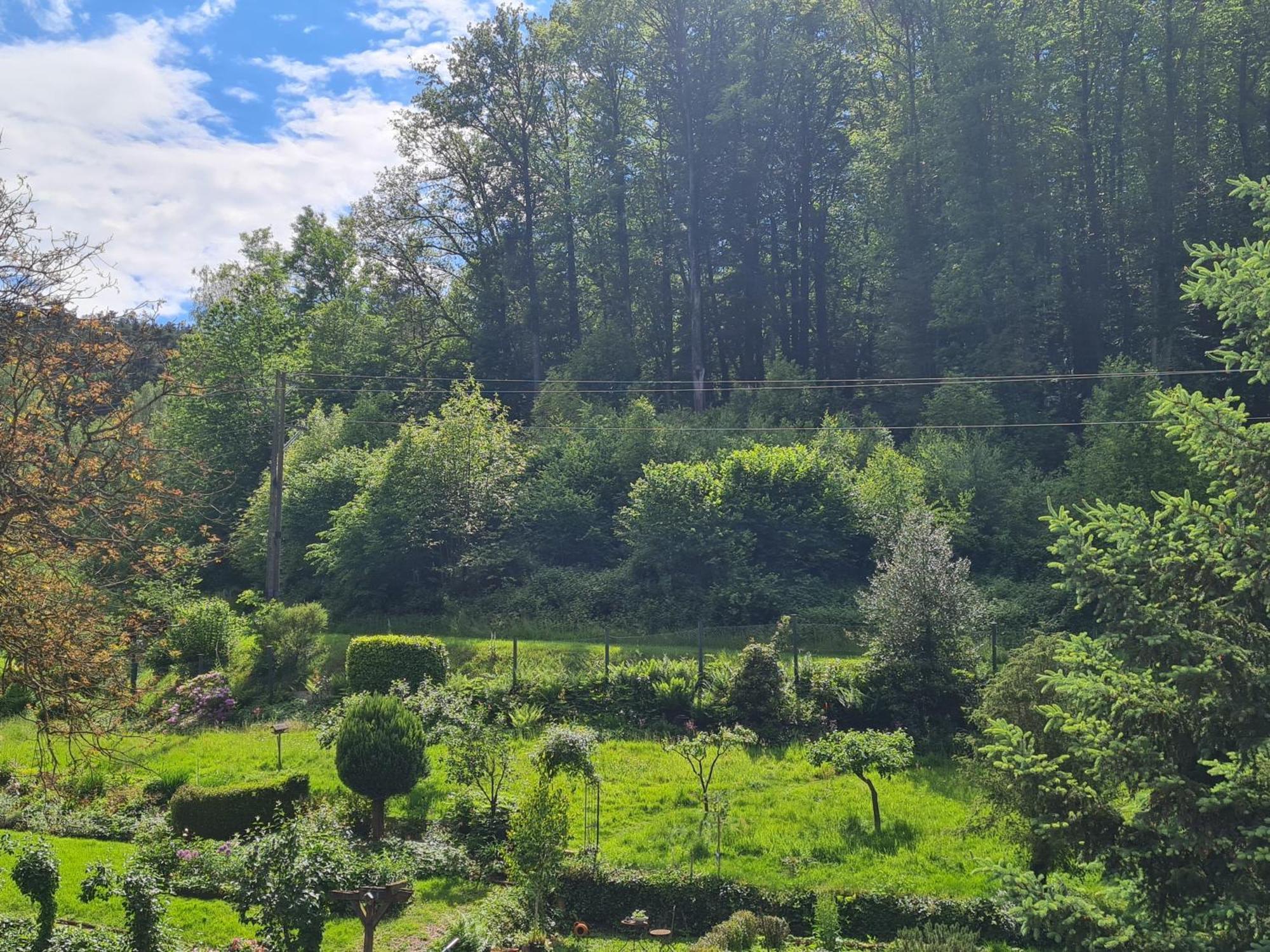 Birds-Nest Ferienwohnung Balkon Kaminofen Darstein Zewnętrze zdjęcie